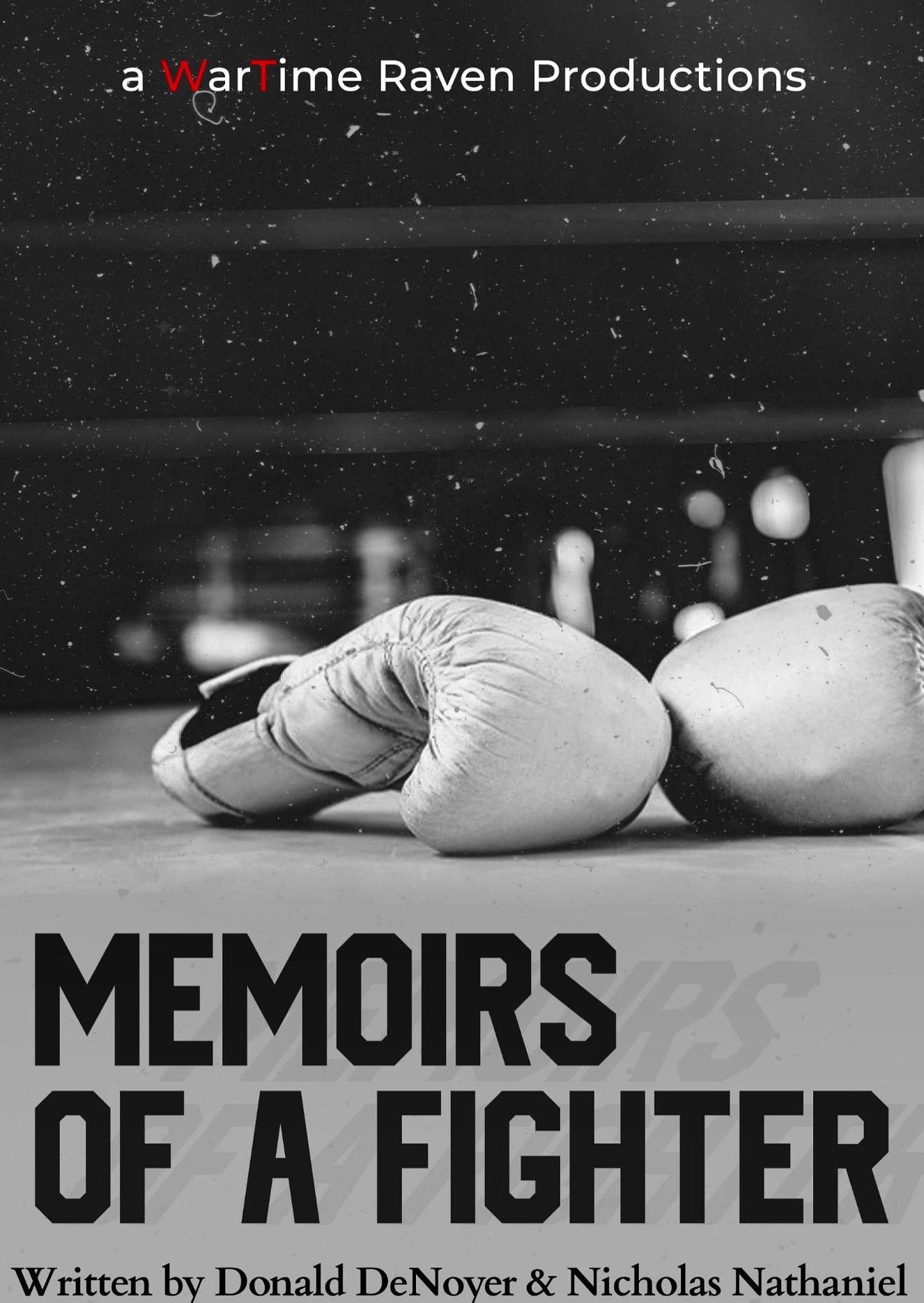 Постер Memoirs of a Fighter